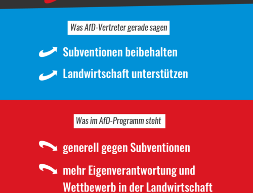 Ein neuer Text